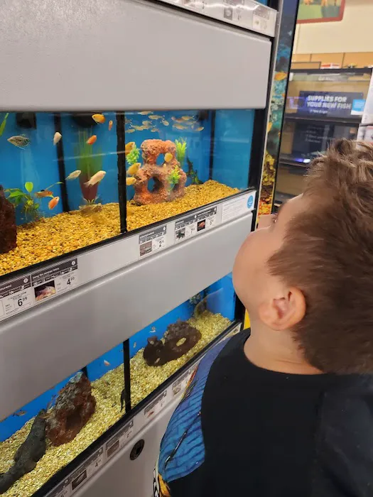 Petco Picture 6