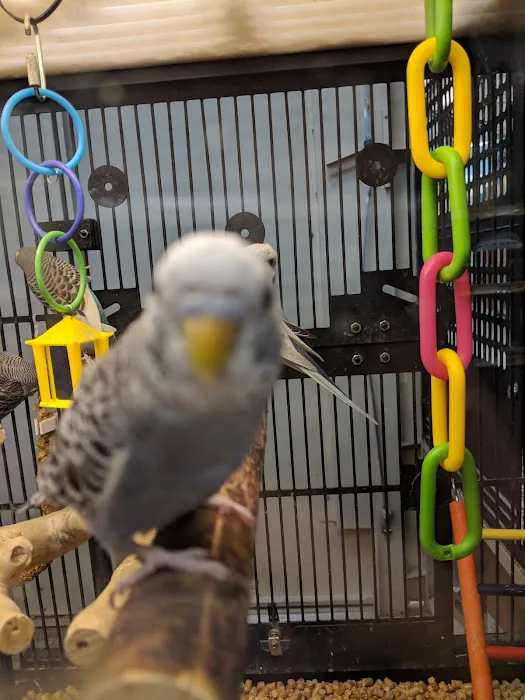 Petco Picture 5