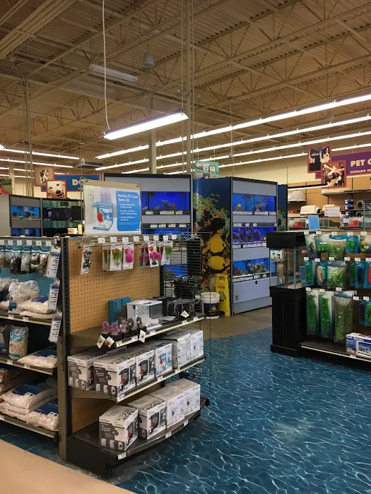 Petco Picture 9