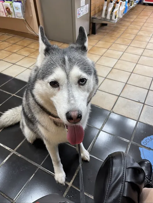 Tarzana Pet Clinic Picture 6