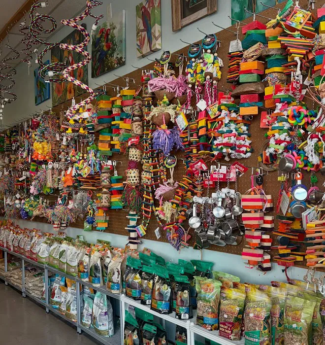 Pretty Feathers Bird Store Picture 4