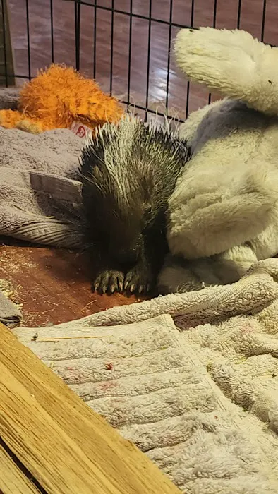 Reptile Junction Picture 1