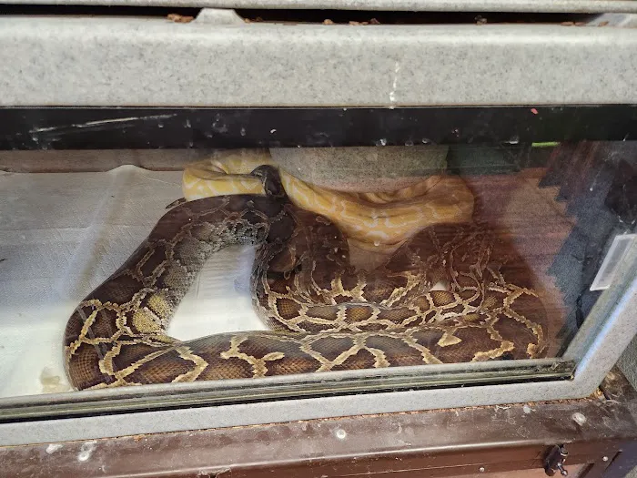 Reptile Junction Picture 9