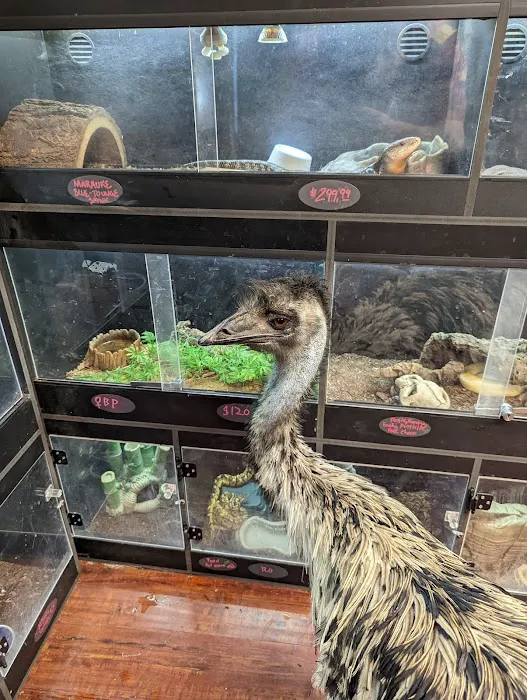 Reptile Junction Picture 7