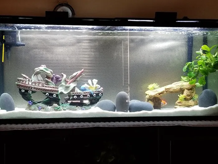 Desert Tropical Aquatics Picture 10