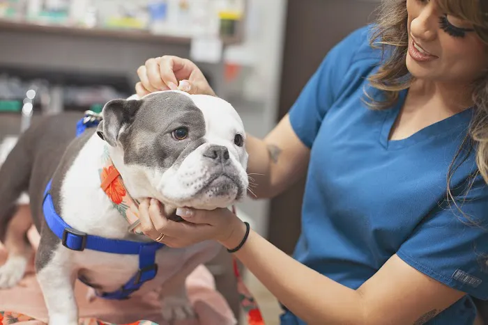 Mission Veterinary Clinic and Animal Emergency Hospital Picture 1