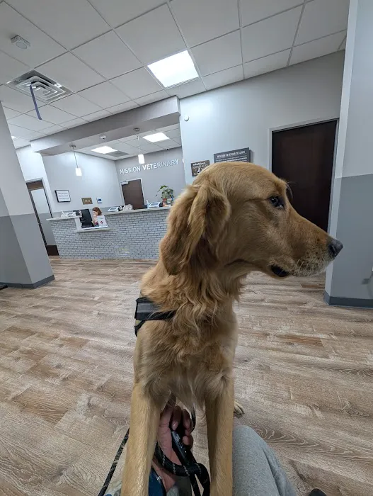 Mission Veterinary Clinic and Animal Emergency Hospital Picture 5