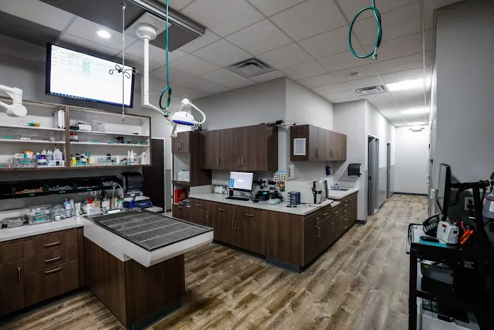 Mission Veterinary Clinic and Animal Emergency Hospital Picture 7