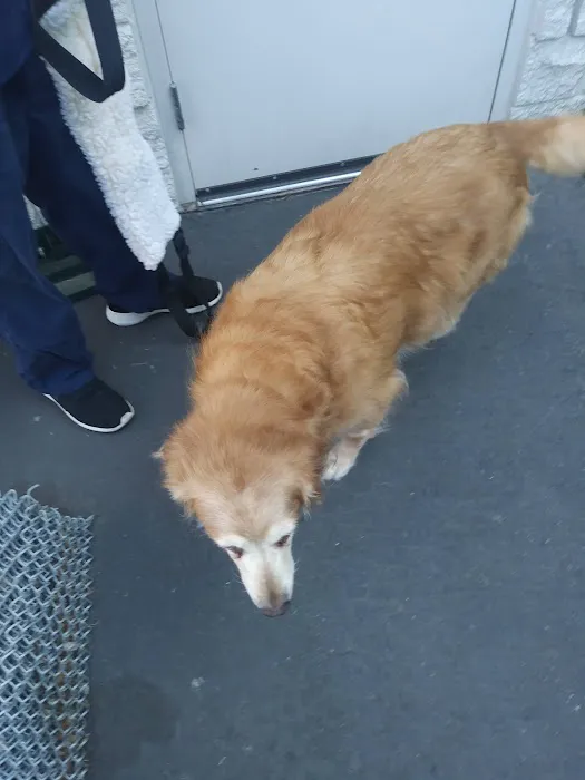 VCA Adler Animal Hospital and Pet Resort Picture 1
