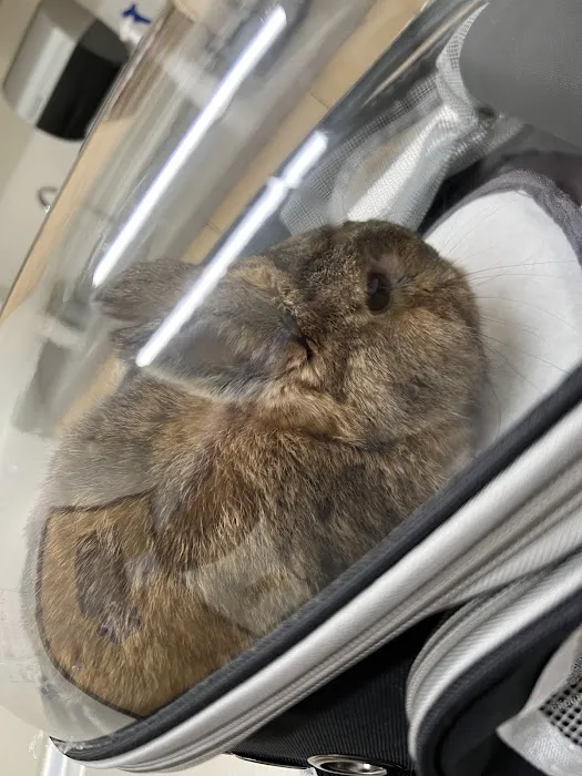 VCA Adler Animal Hospital and Pet Resort Picture 4
