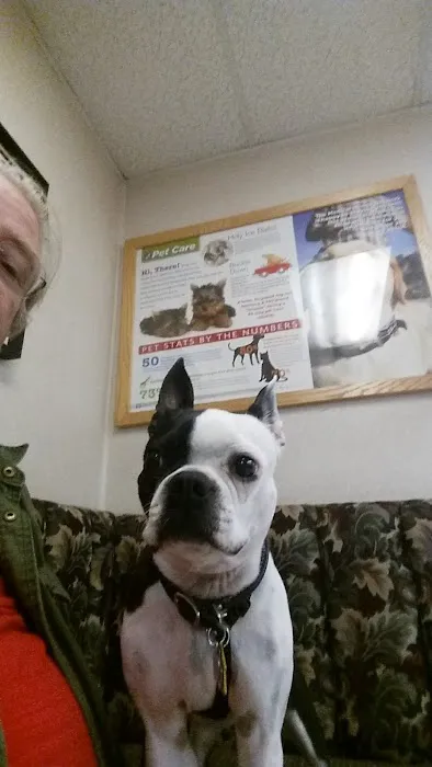 VCA Adler Animal Hospital and Pet Resort Picture 7