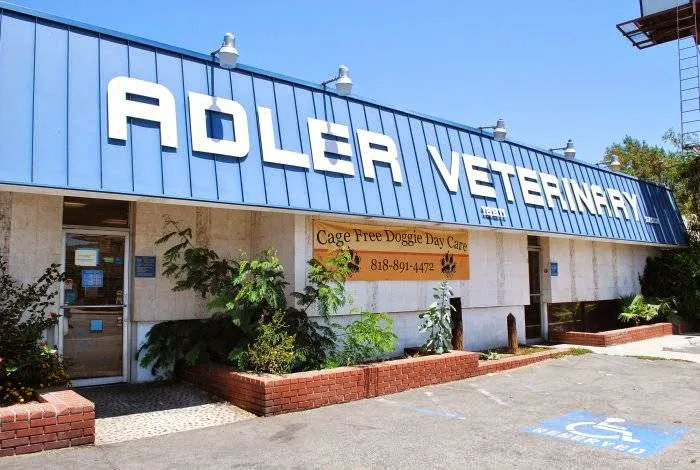 VCA Adler Animal Hospital and Pet Resort Picture 6