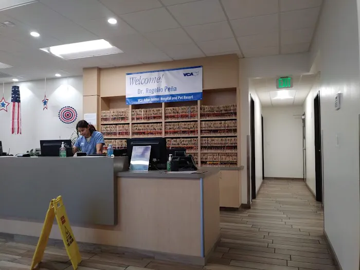 VCA Adler Animal Hospital and Pet Resort Picture 2