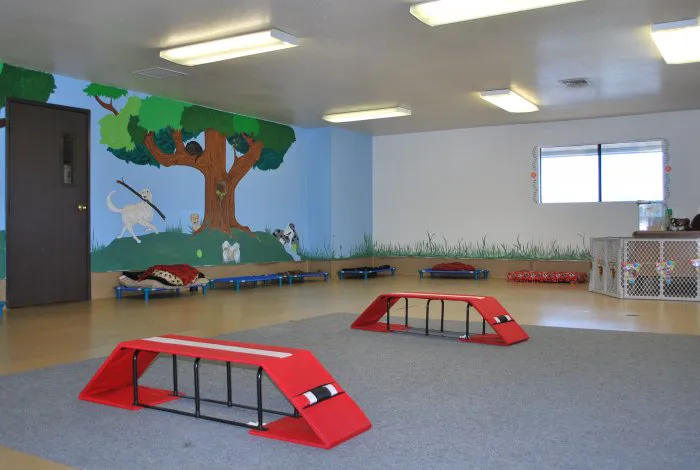 VCA Adler Animal Hospital and Pet Resort Picture 8