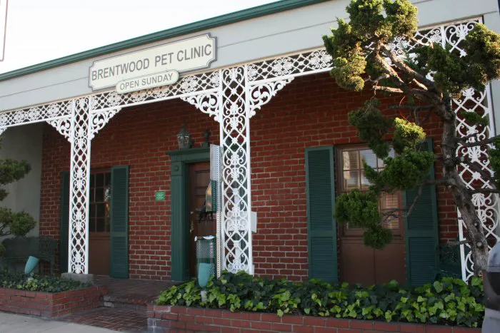 VCA Brentwood Animal Hospital Picture 9