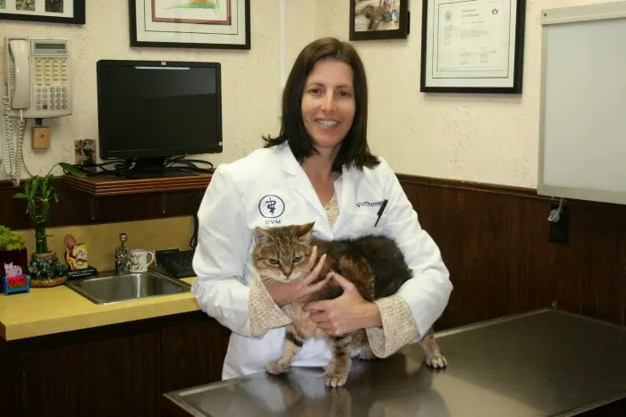 VCA Brentwood Animal Hospital Picture 8