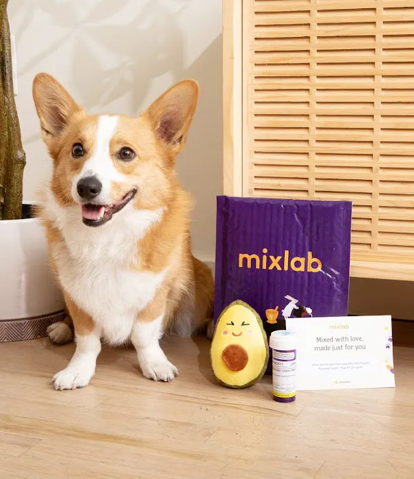 Mixlab Picture 9