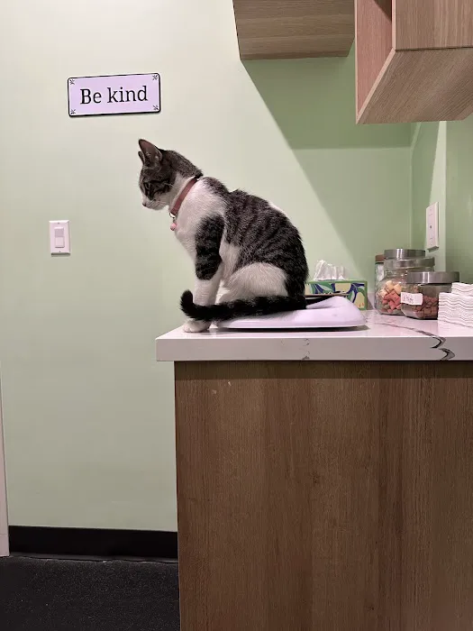 Emerald Animal Hospital Picture 3