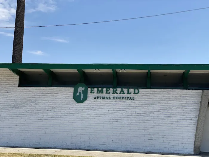 Emerald Animal Hospital Picture 6