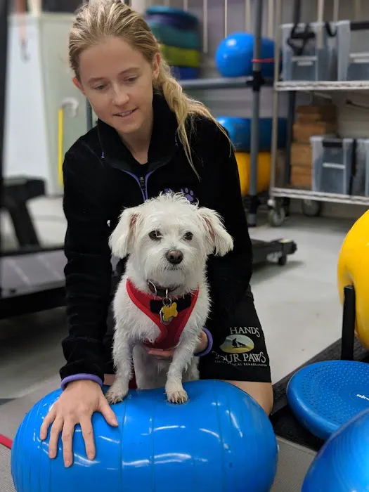 Two Hands Four Paws Picture 5