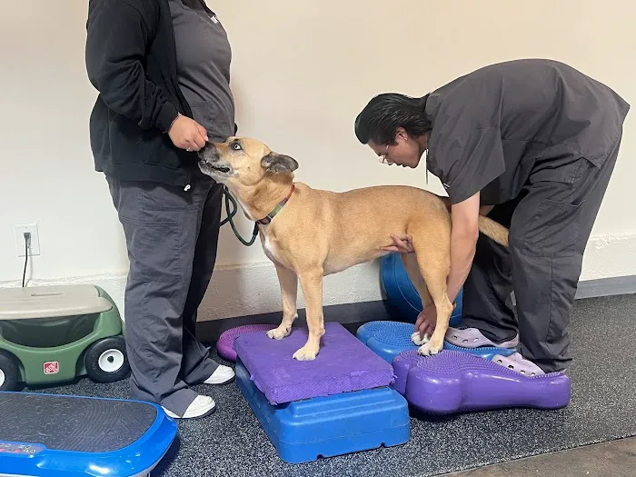 California Animal Rehabilitation Picture 2