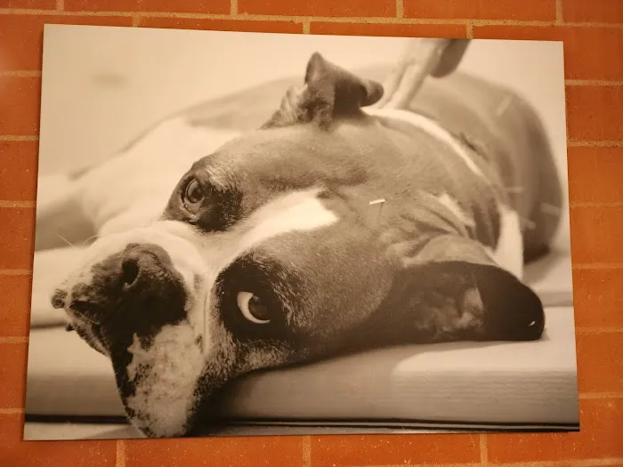 California Animal Rehabilitation Picture 6