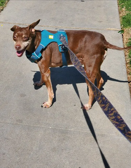 California Animal Rehabilitation Picture 8