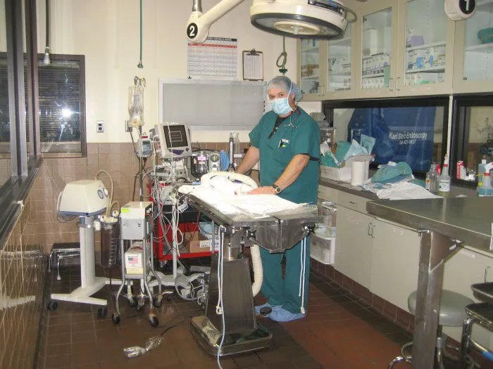 VCA West Los Angeles Animal Hospital Picture 3