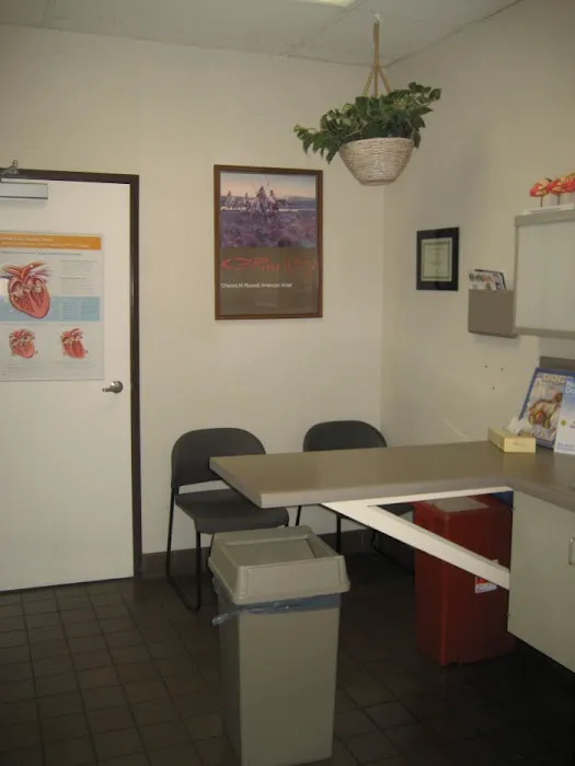 VCA West Los Angeles Animal Hospital Picture 9