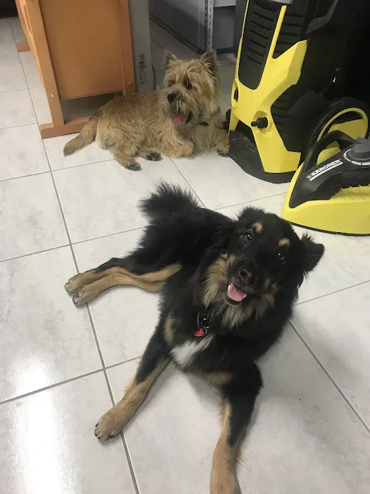VCA Marina Bay Cities Animal Hospital Picture 6