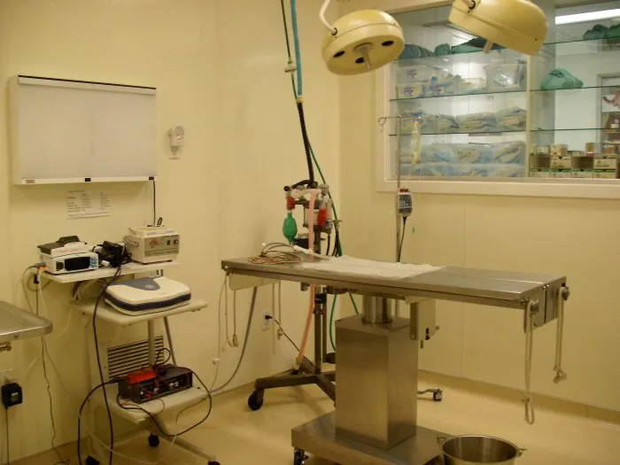 VCA Marina Bay Cities Animal Hospital Picture 7