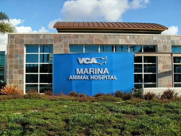 VCA Marina Bay Cities Animal Hospital Picture 8