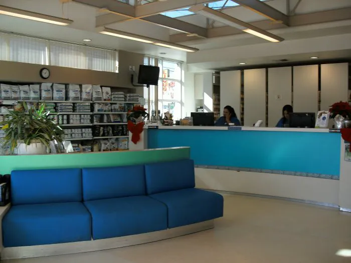 VCA Marina Bay Cities Animal Hospital Picture 10