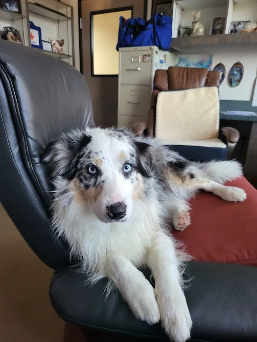 Pasternak Veterinary Center Picture 9