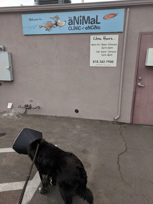 Animal Clinic of Encino Picture 8