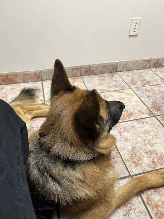 Animal Clinic of Encino Picture 9