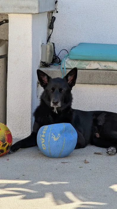 Animal Clinic of Encino Picture 10