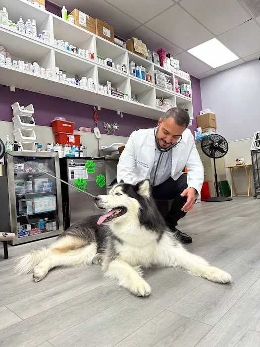 Encino Pet Hospital and Emergency Picture 7