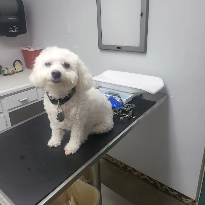 Valley Animal Hospital Picture 4