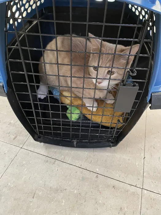 Valley Animal Hospital Picture 7