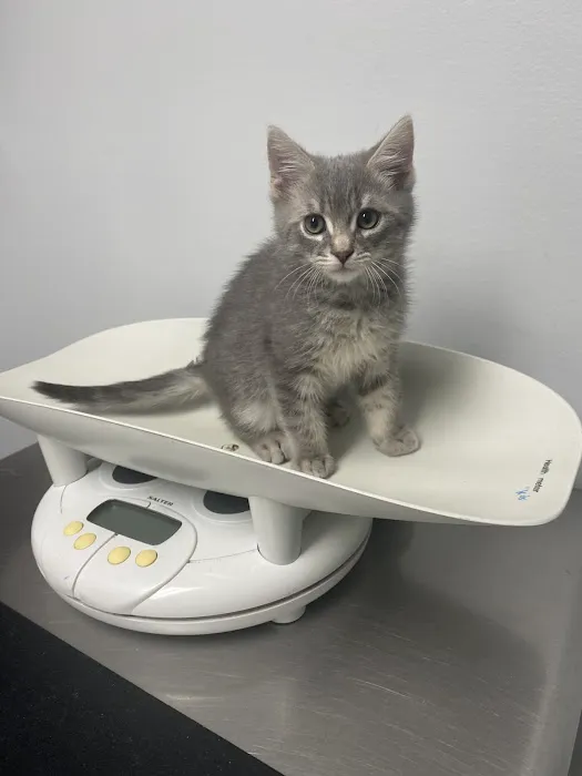 Valley Animal Hospital Picture 10
