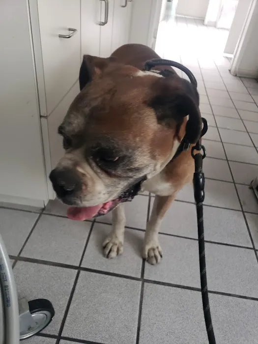 San Fernando Pet Hospital Picture 3