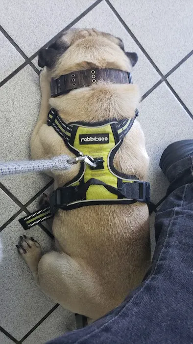 San Fernando Pet Hospital Picture 4