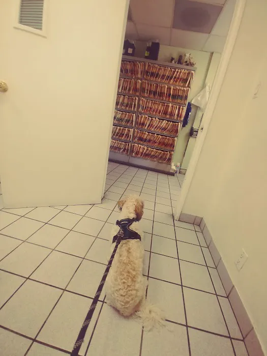 San Fernando Pet Hospital Picture 5