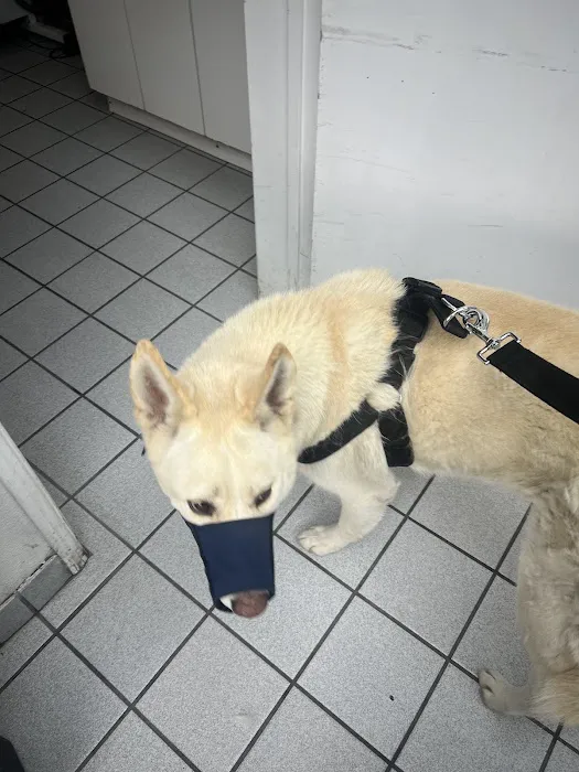 San Fernando Pet Hospital Picture 6