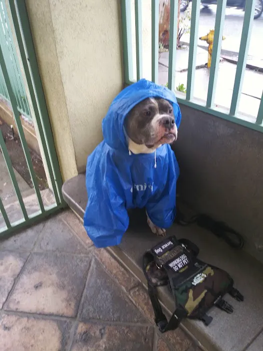 Dill Veterinary Hospital & Reproductive Services Picture 4