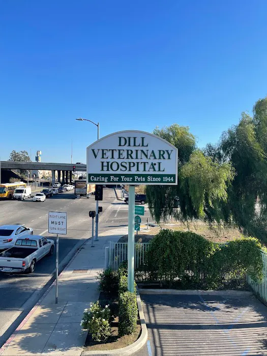 Dill Veterinary Hospital & Reproductive Services Picture 8