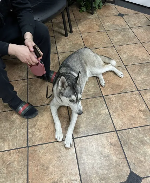VCA Animal Medical Center of Southern California Picture 1