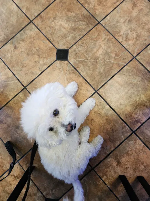 VCA Animal Medical Center of Southern California Picture 6