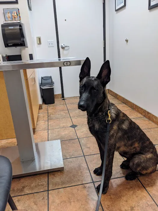 VCA Animal Medical Center of Southern California Picture 7